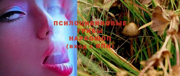 spice Няндома